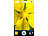 Xcase Schutzhülle mit Linse für Makro & Spotlight für iPhone 5/s/SE Xcase