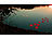 NAKAMARI Schwimmende Wasserlaterne "Glücksrose" mit Teelicht, 10 Stk. NAKAMARI LED-Teich-Glücksrosen