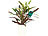 Royal Gardineer 2er-Set 3in1-Kombi-Bodenmessgerät für Pflanzen Royal Gardineer Bodentester