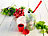 Rosenstein & Söhne Salat-to-go-Becher mit Dressingbehälter & Gabel, ideal auch für Obst Rosenstein & Söhne