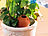 Royal Gardineer 3er-Set Terracotta-Wasserspender "Classico" für Topfpflanzen, je 125ml Royal Gardineer 