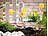 Lunartec Solar-Sonnenblumen mit Lichtsensor Lunartec Solar LED Blumen
