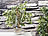 Royal Gardineer 6er-Set Tonspitzen-Pflanzenbewässerung-System, Versandrückläufer Royal Gardineer