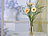 Carlo Milano Designer-Vase aus rosa Crackle-Glas Carlo Milano Glas-Blumenvasen