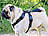 infactory Hundegeschirr für die sichere Autofahrt, Größe S (30-38 cm) infactory Hundegeschirre
