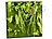 Carlo Milano Vertikaler Wandgarten Kurt mit Deko-Pflanzen, 60 x 60 cm Carlo Milano Wandgärten