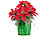 infactory Weihnachts-Gesteck mit Weihnachtssternen im geflochtenem Korb, 22 cm infactory Weihnachts-Kunstblumen-Gestecke
