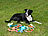 Sweetypet 10er-Set bunte Hundespielzeuge aus Baumwolle zum Kauen und Toben Sweetypet