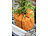 Royal Gardineer 4er-Set Thermo-Topfschutze für Pflanzen, 50 x 45 cm, Drainage, braun Royal Gardineer