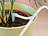 Royal Gardineer 2er-Set automatische WLAN-Bewässerungsanlage für 10 Topfpflanzen Royal Gardineer Automatische WLAN-Bewässerungsanlage für Topfpflanzen
