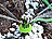 Royal Gardineer Gartensprinkler mit 12 biegsamen Düsen Versandrückläufer Royal Gardineer Gartensprinkler
