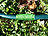 Royal Gardineer 2 Kupplungen zur Reparatur dehnbarer Gartenschläuche PRO.V2, V3 & V5 Royal Gardineer Kupplungen zur Reparatur für dehnbaren Gartenschlauch