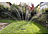 Royal Gardineer Oszillierender Viereckregner mit Schmutzsieb, bis 300 m² bei 4 bar Royal Gardineer Oszillierende Viereckregner mit Gartenschlauch-Anschluss