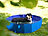 Sweetypet Faltbarer XL-Hundepool mit rutschfestem Boden, 120x30 cm, blau Sweetypet 