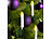Lunartec Solar-Lichterkette für Außen mit 10 flackernden LED-Kerzen Lunartec Solar Außen-LED-Weihnachtsbaumkerzen