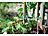 Royal Gardineer Pflanzenbefestigungs-Set mit Pflanzenclips, XXL-Pack, 71-teilig Royal Gardineer Pflanzenclips und -binder