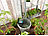 Royal Gardineer Automatische Urlaubs-Bewässerungsanlage BWC-10 für 10 Zimmerpflanzen Royal Gardineer