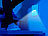 Lunartec 3er-Set LED-Treppenleuchten & Nachtlichter mit PIR-Bewegungssensor Lunartec LED-Batterieleuchten mit Bewegungsmelder