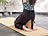 newgen medicals 2er-Set Yoga-Blöcke, ökologischer Natur-Kork, je 22,7 x 7,6 x 14,9 cm newgen medicals Yogablöcke