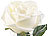 Lunartec Edle Kunst-Rose mit LED-Beleuchtung, Versandrückläufer Lunartec 