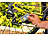WD-40 Bike Kettenöl, Feuchte Bedingungen, 100 ml WD-40 Fahrrad-Kettenöle