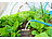 Royal Gardineer 3er-Set Terracotta-Bewässerungskugeln, Versandrückläufer Royal Gardineer Terracotta-Bewässerungskugeln für Gartenbeete
