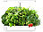 Carlo Milano XL-Gewächs- & Anzucht-Station mit Pumpe, für 12 Pflanzen, 3,5 l Tank Carlo Milano Intelligente Pflanzen-Anzucht-Systeme mit LED-Licht und Timer