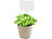 Royal Gardineer 84-tlg. Pflanzen-Anzucht-Set mit biologisch abbaubaren Pflanztöpfen Royal Gardineer