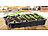 Royal Gardineer 84-tlg. Pflanzen-Anzucht-Set mit biologisch abbaubaren Pflanztöpfen Royal Gardineer Pflanzen-Anzucht-Sets