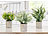 Carlo Milano 6er Set künstlicher Pflanzen inkl. Töpfe, Dekopflanzen für Schreibtisc Carlo Milano Kunstpflanzen im Topf