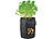Royal Gardineer 5er-Set Pflanzen-Wachstumssäcke, je 10 l, Tragegriffe, Sichtfenster Royal Gardineer