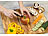 TokioKitchenWare 3-teiliges Obst- und Gemüsemesser-Set mit Wetzstahl TokioKitchenWare Küchenmesser-Sets mit Wetzstahl