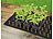 Royal Gardineer 4er-Set Heizmatten für Pflanzenanzucht/Terrarien, Größe S, IP67, 20 W Royal Gardineer