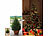 Royal Gardineer 2 Weihnachtsbaum-Anzucht-Sets inkl. jeweils 10 Nordmanntannen-Samen Royal Gardineer
