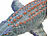 Playtastic Ferngesteuerter Mosasaurus für Wasser, mit Wassersprüh-Funktion, 40 cm Playtastic