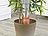 Royal Gardineer 3er-Set 2in1-Terracotta-Wasserspender für Topfpflanzen, je 330 ml Royal Gardineer 