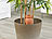Royal Gardineer 6er-Set 2in1-Terracotta-Wasserspender für Topfpflanzen Royal Gardineer