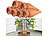 Royal Gardineer 6er-Set 2in1-Terracotta-Wasserspender für Topfpflanzen Royal Gardineer Wasserspender für Topfpflanzen