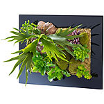Carlo Milano Vertikaler Deko-Wandgarten Nora, 40 x 30 cm Carlo Milano Wandgärten
