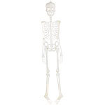 infactory Halloween-Deko-Skelett für Schwarzlicht, 90 cm infactory Skelette