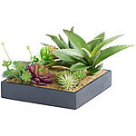 Carlo Milano Vertikaler Wandgarten Luna mit Deko-Pflanzen, 20 x 20 cm Carlo Milano Wandgärten