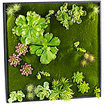 Carlo Milano Vertikaler Wandgarten Ken mit Deko-Ranken, 60 x 60 cm Carlo Milano Wandgärten