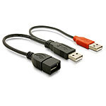 Delock USB-Power-Adapter-Kabel, 2x USB Typ A Stecker auf USB Typ A Buchse Delock Y-USB-Kabel