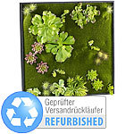 Carlo Milano Vertikaler Wandgarten Ken mit Deko-Ranken, 60 x 60 cm (refurbished) Carlo Milano Wandgärten