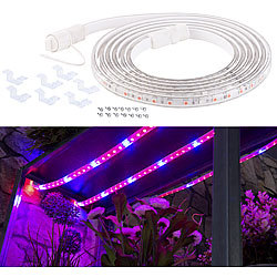 Lunartec 12 Meter LED-Pflanzen-Wachstums-Streifen, rot & blau, mit Netzteil Lunartec LED-Pflanzenwachstums-Streifen