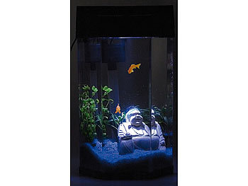 infactory Säulen-Panorama-Aquarium "Neptun" im Komplett-Set, 7 Liter