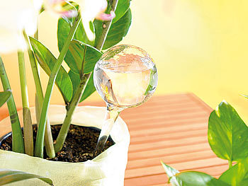 Balkonpflanze Wasserperle Tränke Pack Blume Glaskugel Glas