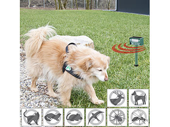 Royal Gardineer Ultraschall-Tierschreck gegen Hunde, Nager & Co., Solar, PIR-Sensor