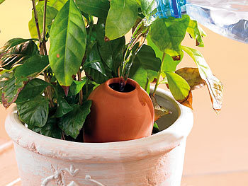 Royal Gardineer 3er-Set Terracotta-Wasserspender "Classico" für Topfpflanzen, je 125ml