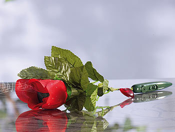 infactory Die singende & sprechende rote Rose